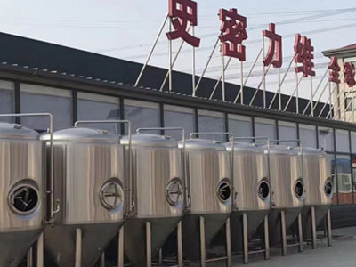 松潘精酿啤酒设备厂—市场规模与跨界新需求